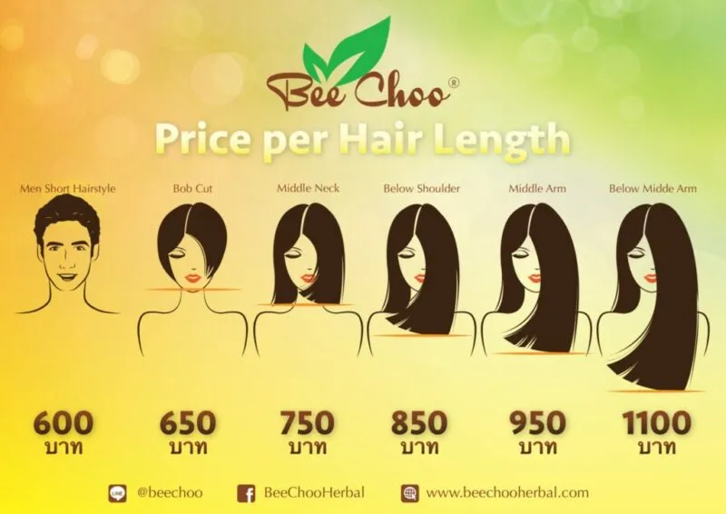 SUFFERING FROM ALOPECIA HAIR LOSS? LEARN MORE NATURAL HERBAL SCALP TREATMENT IN BANGKOK THAILAND — photo 3