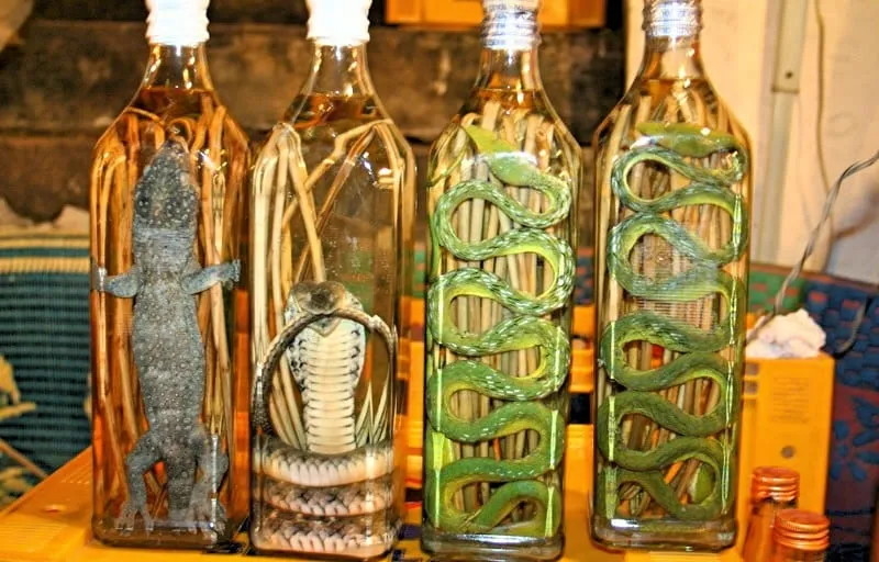 Top 10 Non-touristy things to do in bangkok — photo 14