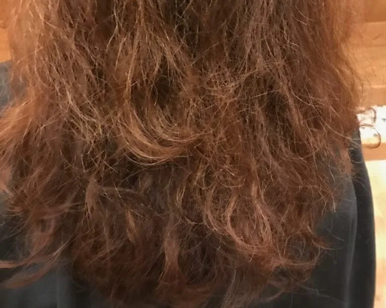 Bee Choo damaged and chemically dried hair herbal treatment